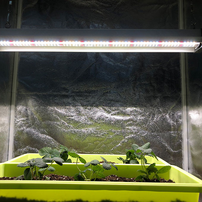 30w 2ft Vegetative LED Grow Light High Pin For Vertical Hydroponics 2