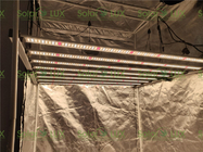 Horticulture Fluence Spydr 2p 650W LED Grow Light Bar