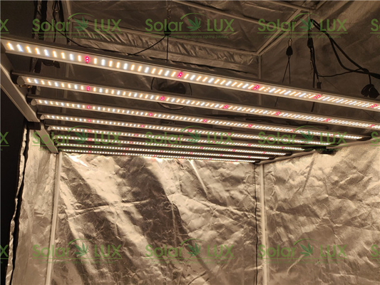 Horticulture Fluence Spydr 2p 650W LED Grow Light Bar