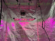 Quantum Board 240Watt Tent 2x2 Led Grow Light