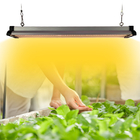 30w 45w 60w 4x4 LED Grow Light For Greenhouse