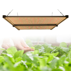 650w Hydroponic 4x4 LED Grow Light For Cannabis Growing