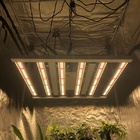 Full Spectrum 480w 400w Dimmable LED Grow Lights