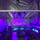Supplemental 30W UV 365nm 385nm 395nm lED grow light bar For Flowering Stage THC Enhancement