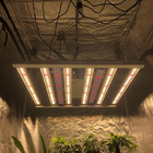 Indoor 480W Osram 660nm 6Bars Horticulture LED Grow Light Full Spectrum