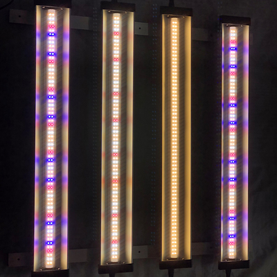 30w 2ft Vegetative LED Grow Light High Pin For Vertical Hydroponics