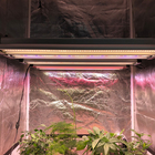 RedFarm 40w 2.5ft Veg LED Grow Light Vertical Farm Vegetable Seedling Plants