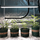 Vertical 60w 4ft Veg LED Grow Light Garden Indoor Hydroponics Tomato Cucumber