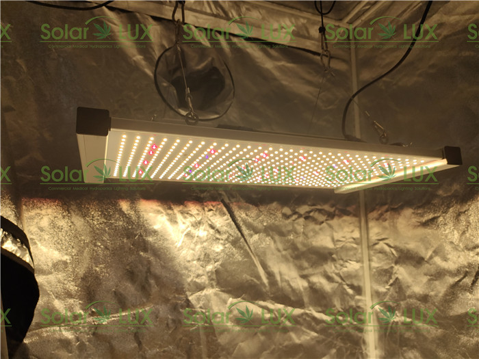 240Watt Seoul 395nm Osram 730nm Tent 3x3 Led Grow Light