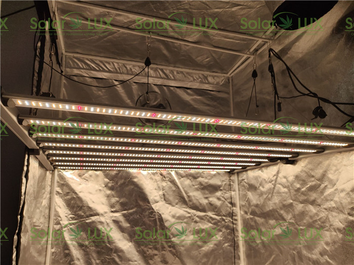 Lm301b Lm301h 650w G1 UL8800 Horticulture LED Grow Lights