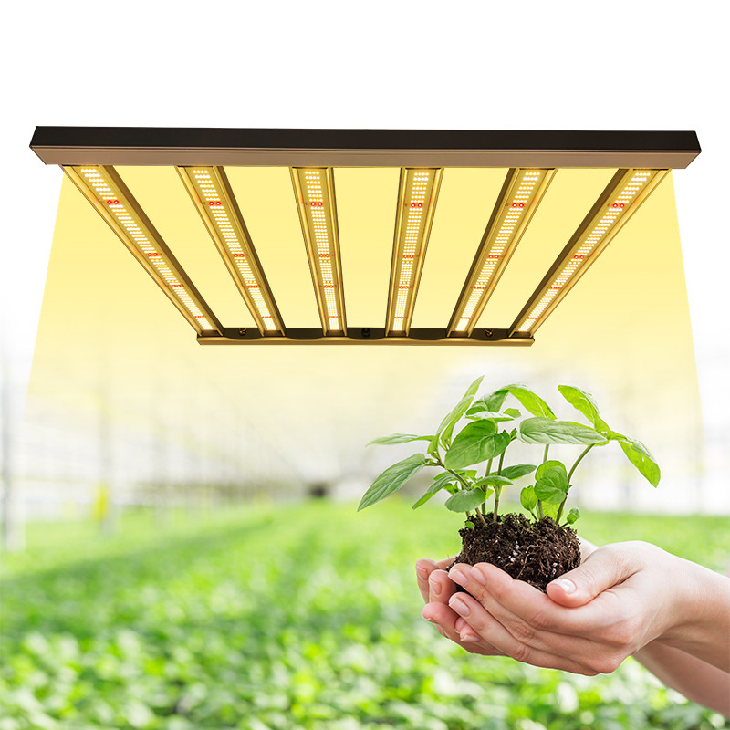 480W 6Bar Samsung LM301B 4x4 LED Grow Light For Indoor Plant