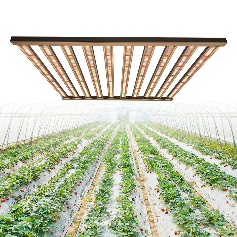 Dimmable 1000 Watt Led Grow Light For Horticulture