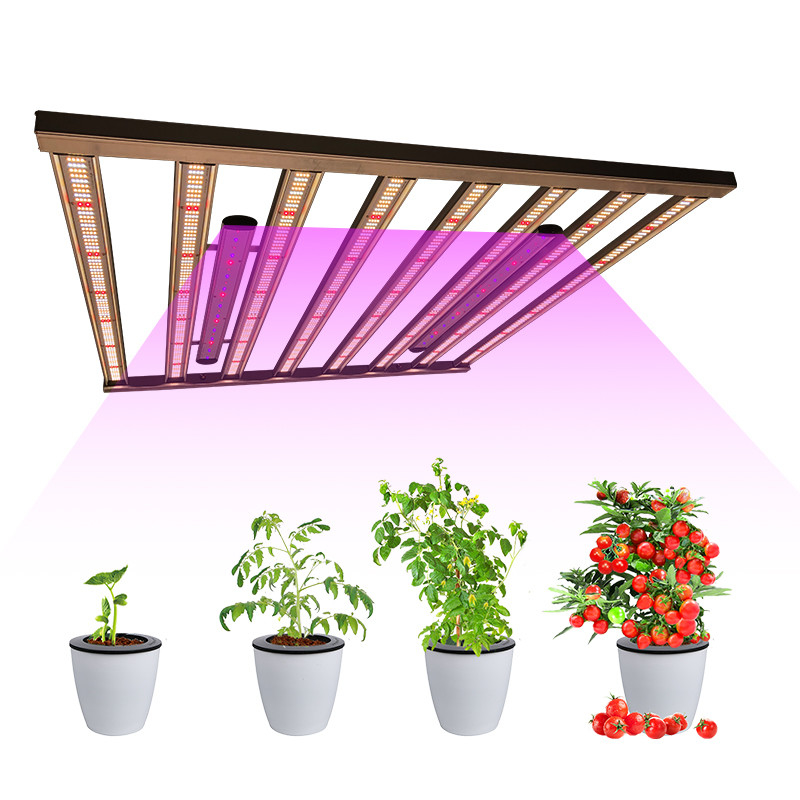 600W 650W 4x4 Samsung LM301H Led Grow Light For Indoor Plant