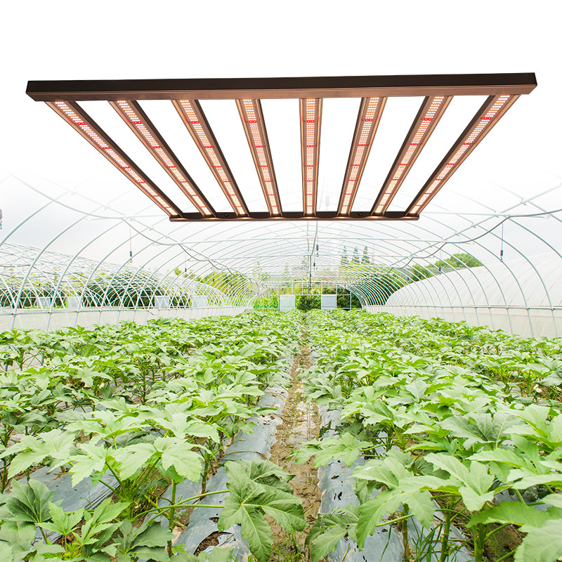 600w Samsung LED Daisy Chain Grow Lights For Seedlings