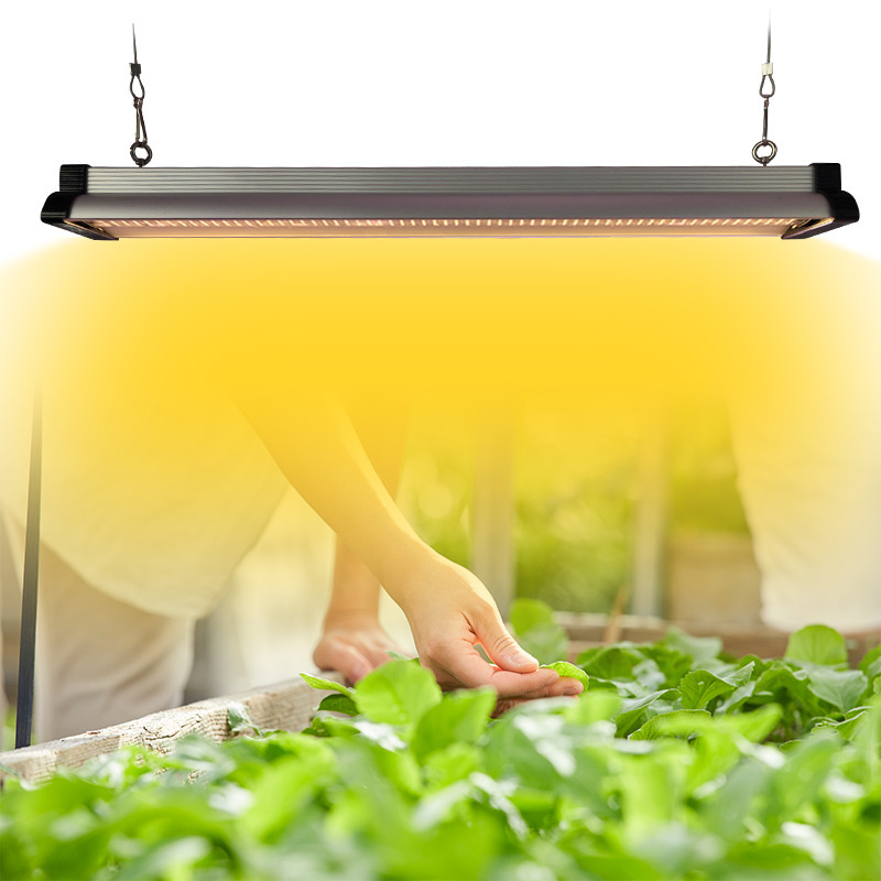 30w 45w 60w Full Spectrum LED Grow Light For Vegetables