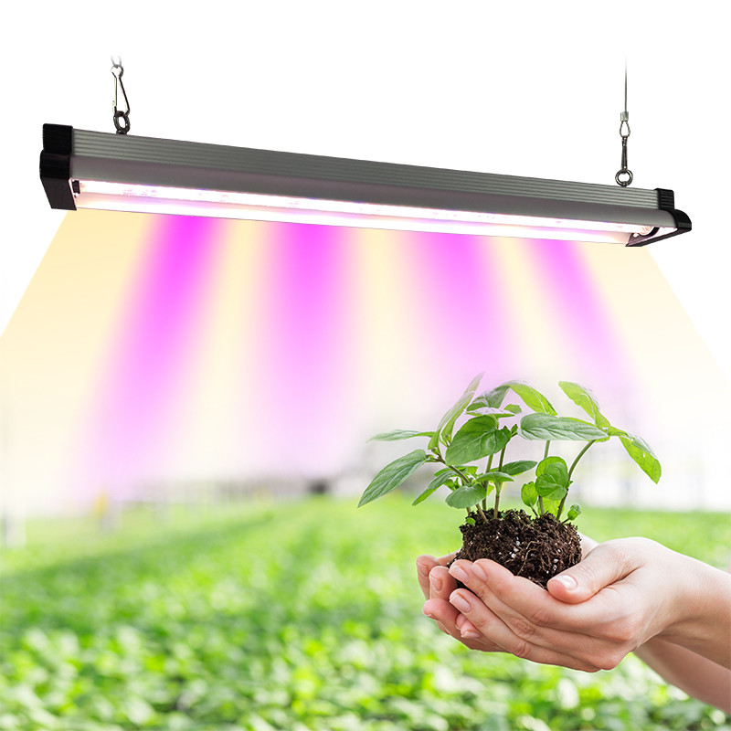 20w 30w 60w Samsung Lm281b LED Horticulture Grow Light