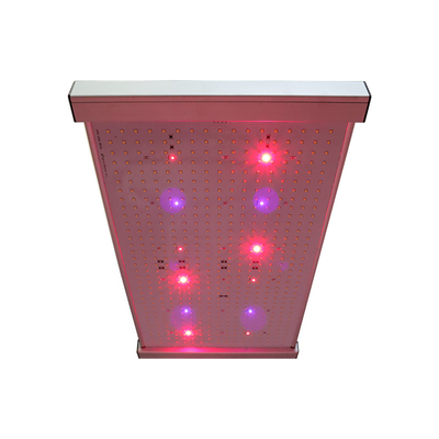 Quantum 2x2 LED Grow Light